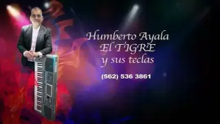 🎹🎹 El Tigre y sus Teclas📯RV