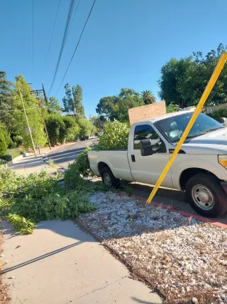 E&T Lawn Maintenance and Tree Trimming
