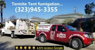 FUMIGACIONES PERSONALES CERTIFICADOS ESTADO CALIFORNIA