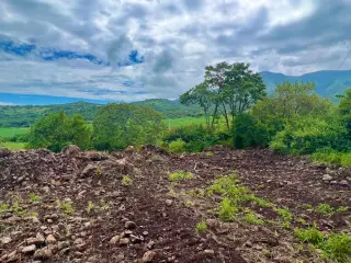 Great & Affordable, Lot B