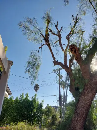 ET junk removal