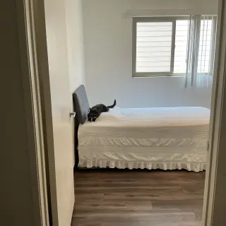 Rento Cuarto 900 en Los Angeles