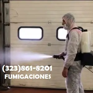 FUMIGACIONES EN 🎃 HALLOWEEN 🦇 LOS ANGELES
