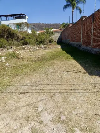 Lote Amelia