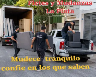 Servicios Profesionales de Mudanza