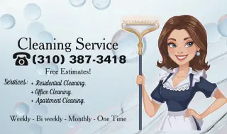 Cleaning Service