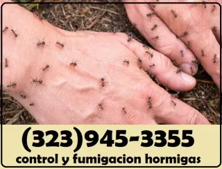 EXTERMINADORES MAYWOOD ~ BELL ~ CUDAHY ~ HUNTINGTON PARK