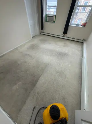 Luis Cleaning You