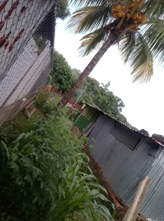 Lote Terrene en Venta