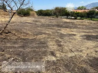 Rancho muy Alegre