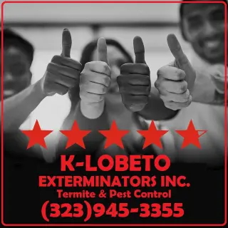 FUMIGACIONES 24/7.- RESIDENCIALES Y COMERCIALES.-