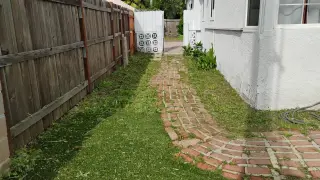 Corte de pasto limpieza con sopladora