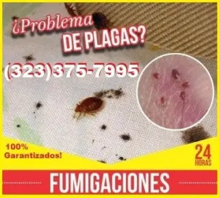 FUMIGACIONES RESIDENCIALES Y COMERCIALES LOS ANGELES
