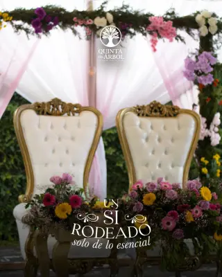 Cumpleaños, bodas,xv años, aniversario