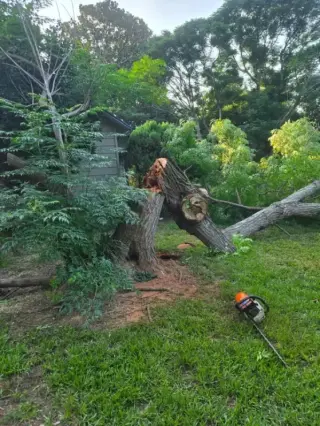 Garcias Tree Service and Lawn