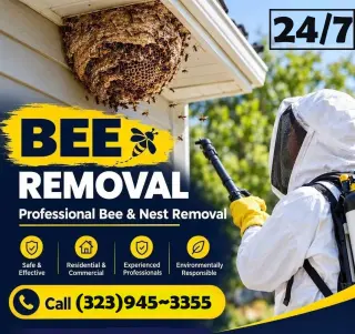 Fumigaciones ~ Exterminaciones Plagas ~ Orange County