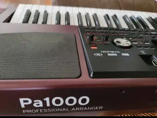 Korg Pa1000 61-Key Semi-Weighted Arranger Keyboard w/ Speakers Touchscreen Red