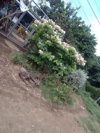 Lote Terreno en venta en El Salvador en Area Turistica