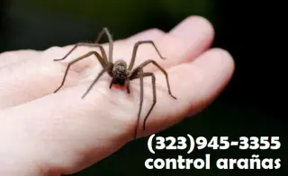 FUMIGACIONES 🎃 🦇 HALLOWEEN 🦇 🎃 24/7.~ LOS ANGELES.~