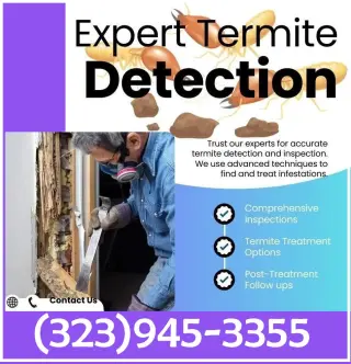 TERMITE HOME INSPECTOR EN SU AREA.-