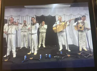 🎺🎺MARIACHI LOS POTRILLOS 🎻