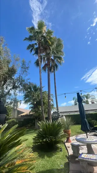 Pablo lawn care service