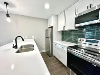 🏡 MUST SEE! Renovated Mid-Century Modern Duplex in Richardson!