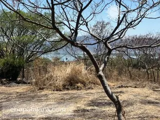 Rancho muy Alegre