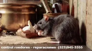 Control Ratones y Reparaciones