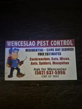 Fumigacion contra cucarachas . Mosquitos. Termitas. Ratas. Ratones. Arañas