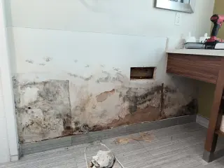 Instalación y Acabado de Paneles de Yeso en Interiores