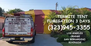 TERMITE TENT FUMIGATION OR LOCAL TREATMENT LOS ANGELES