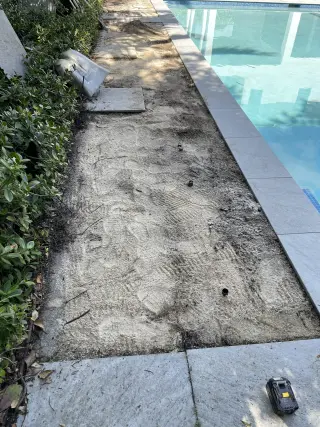Servicio de jardineria y limpieza