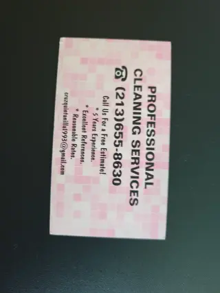 Servicios de Limpieza Profesional