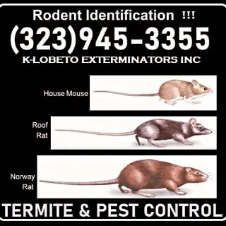 Control Ratones y Reparaciones