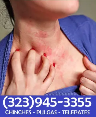 FUMIGACIONES PERSONALES CERTIFICADOS ESTADO CALIFORNIA