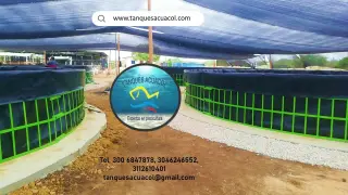 Tanque de Acuicultura para Cría de Peces