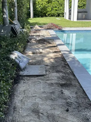 Servicio de jardineria y limpieza