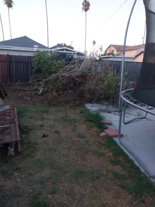 Erick's Junk Removal
