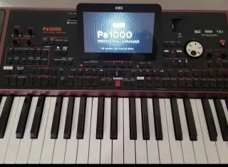 Korg Pa1000 61-Key Semi-Weighted Arranger Keyboard w/ Speakers Touchscreen Red