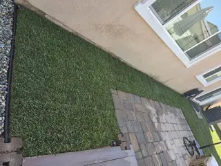 Professional Landscaping Services