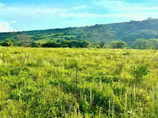 Great & Affordable, Lot A