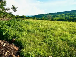 Great & Affordable, Lot B