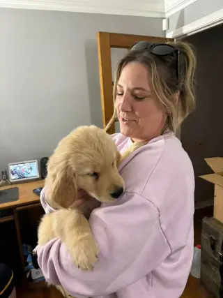 Intelligent and easy to train
