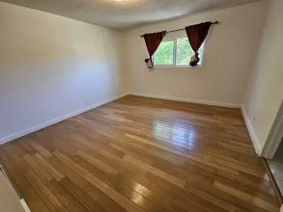 Es un cuarto amplio en una casa familiar