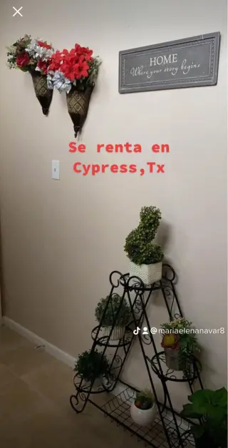 Renta de piso