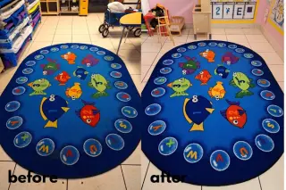 Limpieza de Sofa y Alfombra