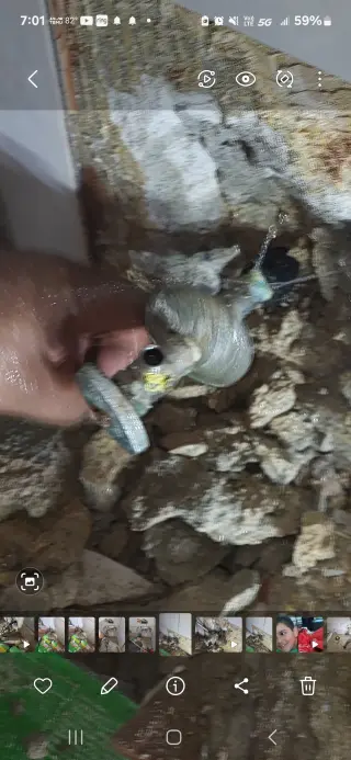 Plomería 24 hora todo Puerto Rico