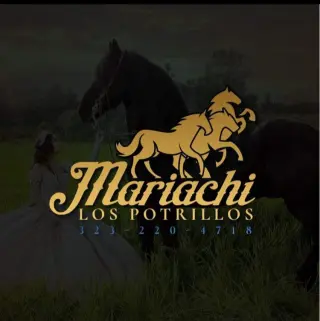 🎺🎺MARIACHI LOS POTRILLOS 🎻