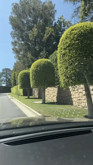 Jardinería